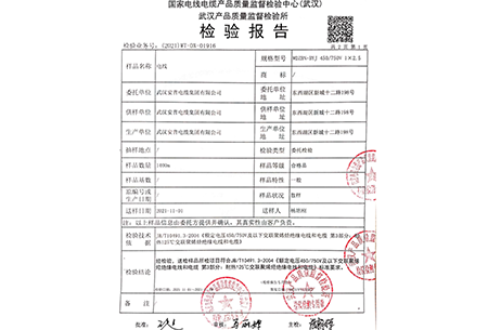 WDZBN-BYJ-2.5質(zhì)檢報告